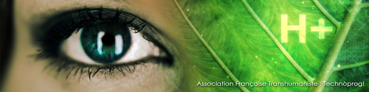 Protégé : AG AFT 2014