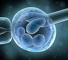 Positions de l’AFT sur les diagnostics préimplantatoire et prénatal