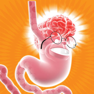 Faudra-t-il aussi simuler les relations cerveau/intestins ?