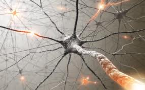 Commentaire critique de l'avis n°122 du CCNE sur la "neuro-amélioration"