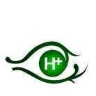 Règlement via Paypal