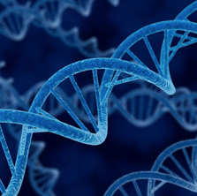 Positions h+ sur la modification du patrimoine génétique humain