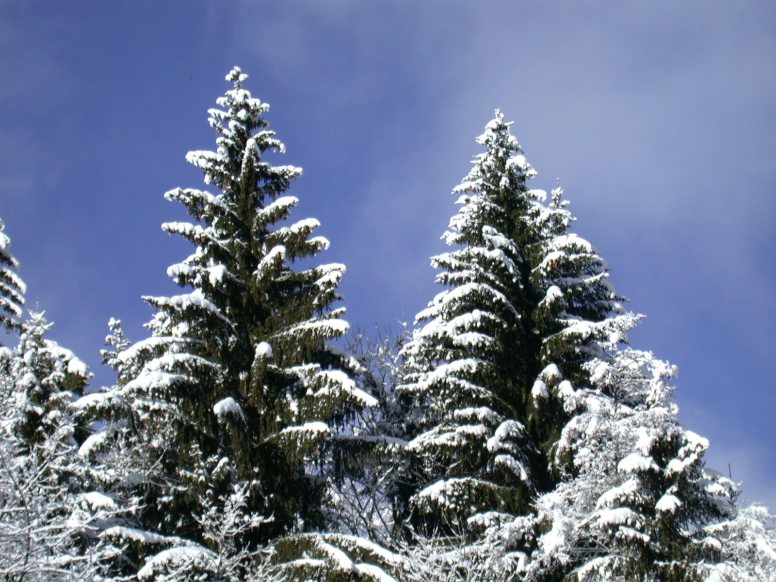 Lettre d'information mensuelle – Décembre 2015