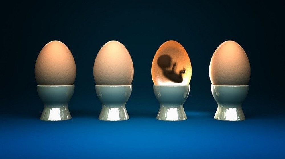 Longévité, condition féminine et travail reproductif