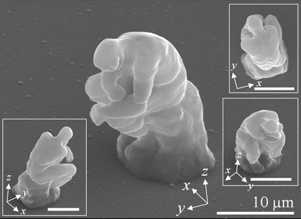 Art posthumaniste : Art transhumaniste ?
