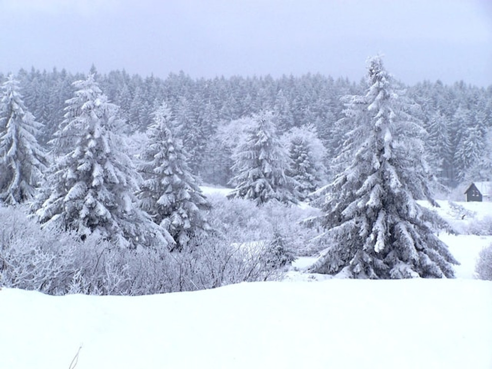 Lettre d’information – Décembre 2016