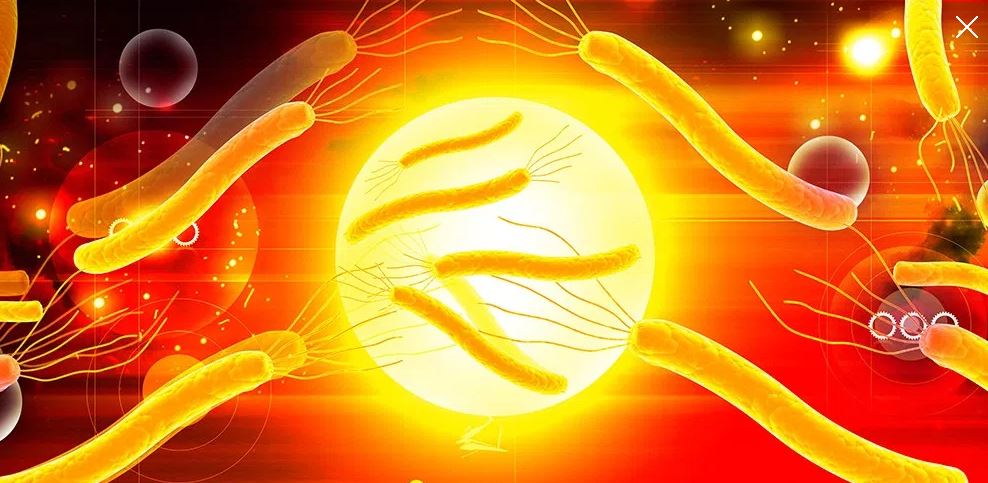 Longévité, y-a-t-il un vaccin pour cela ?  La mort de la mort. Septembre 2017. N° 102.