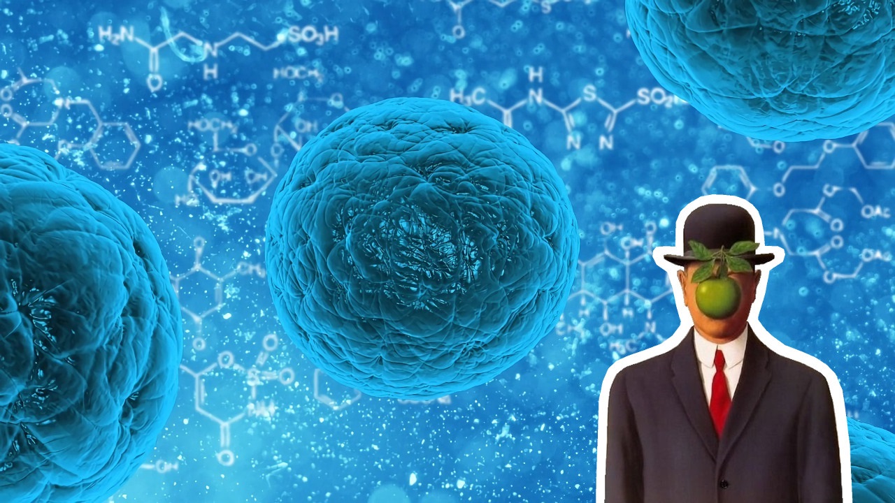 [Vidéo] Recherche embryonnaire : faut-il autoriser davantage ?