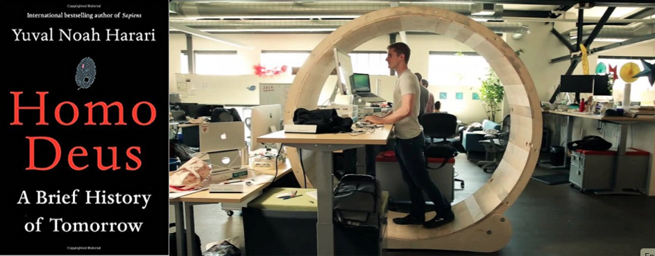 Yuval Harari et l’amélioration technique de l’accès au bonheur