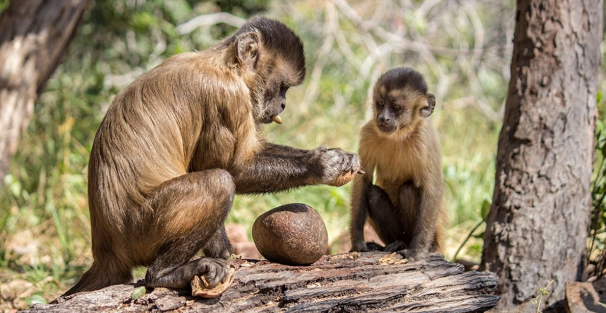 Pourquoi travaillons-nous ?