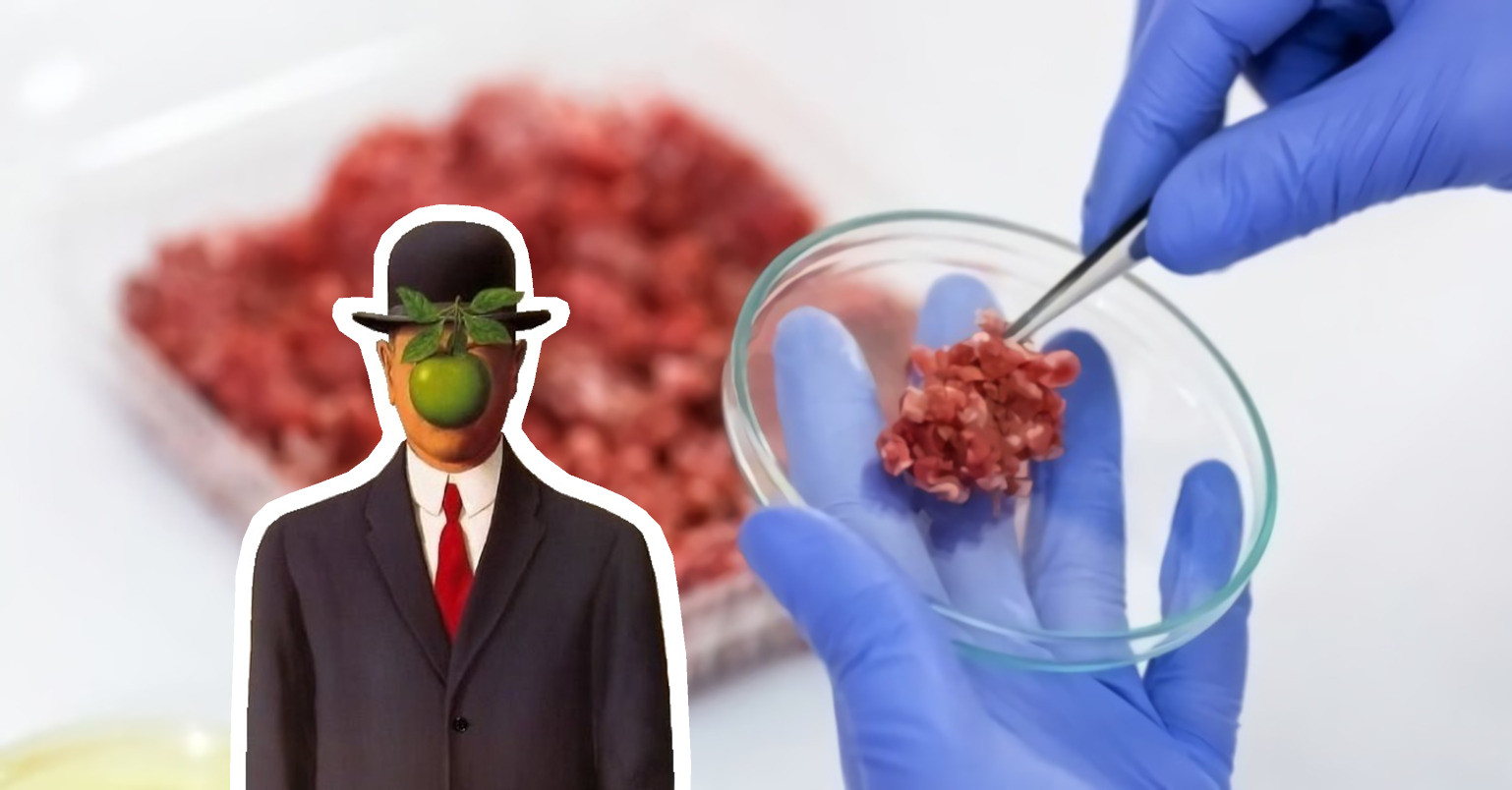 [Vidéo] Viande propre ? Viande artificielle, souffrance animale et réchauffement climatique