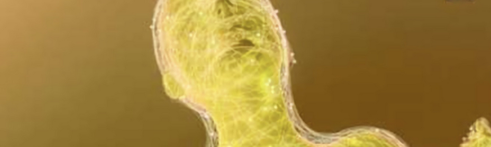 Technoprog à Marseille le 24 mai