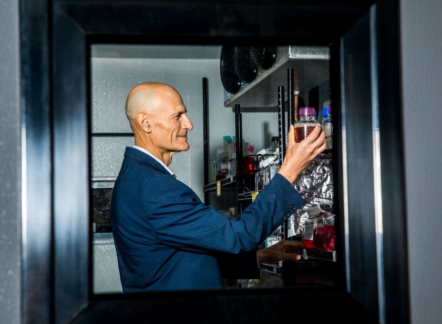 Peut-on remonter l’horloge du vieillissement ?