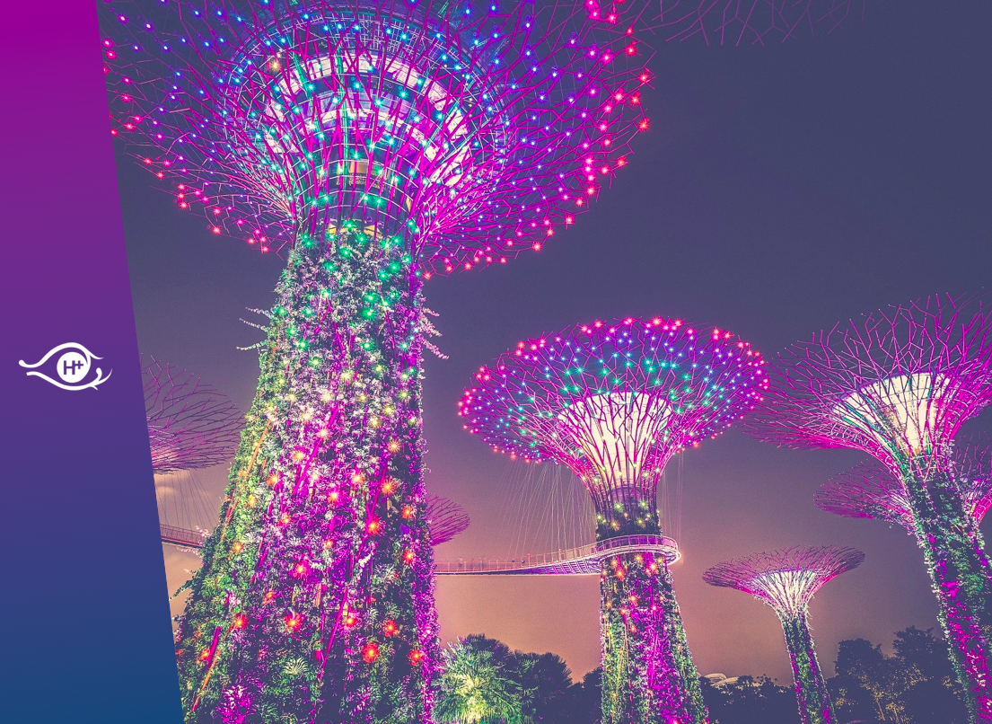 Un avenir proche et lumineux. D’un remède contre le Covid-19 à un remède contre le vieillissement.