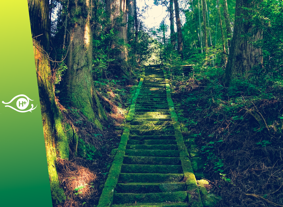 La crise du COVID-19 renforce la perspective transhumaniste