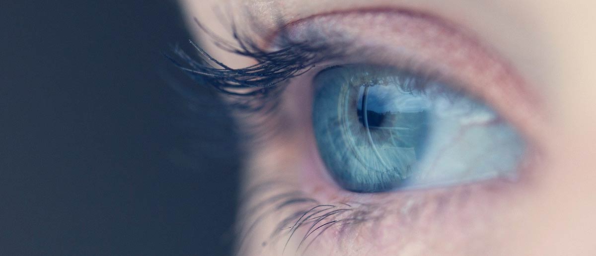 Lettre d’information mensuelle Septembre 2020