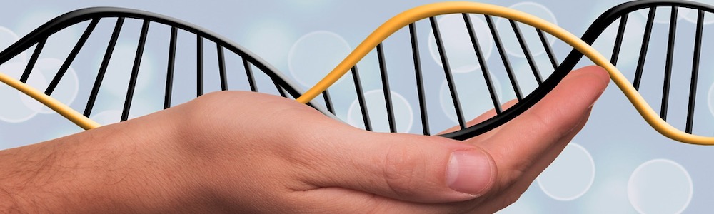 Permettre  l’ingénierie du génome héréditaire ?