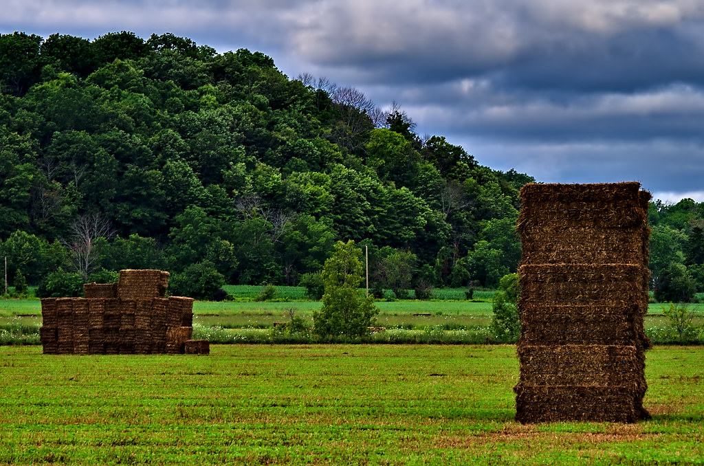 Sécurité alimentaire, colonisation de l’espace et transhumanisme