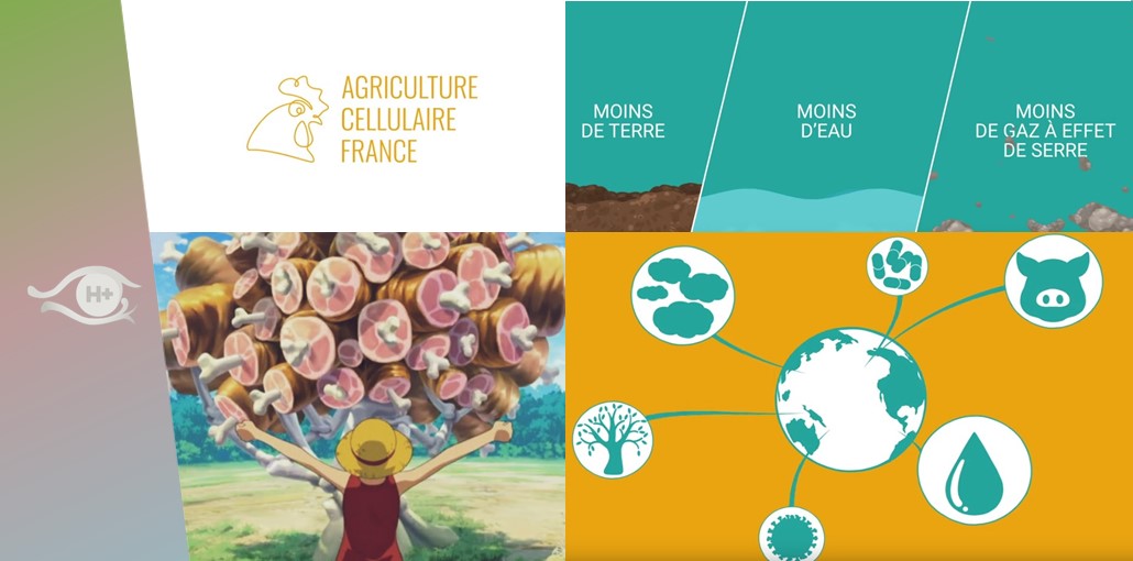 L’agriculture cellulaire en deux minutes ! – Vidéo