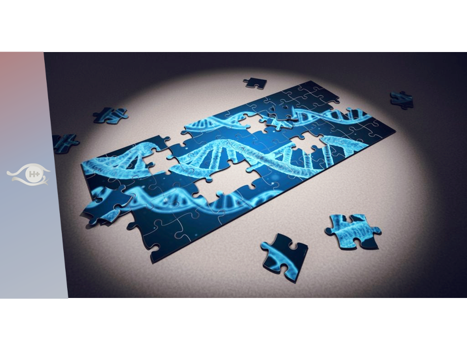 Développements récents de thérapies géniques pour la longévité. La mort de la mort. N° 152. Novembre 2021.