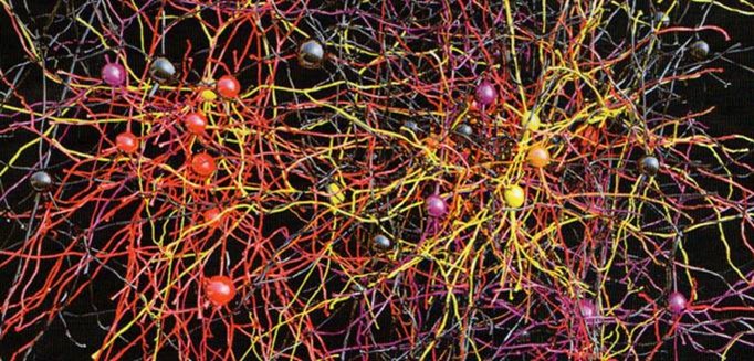 Paroles d’adhérentes (7)