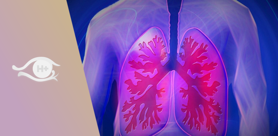 La mort de la mort. N°156. Mars 2022. Respiration et longévité.