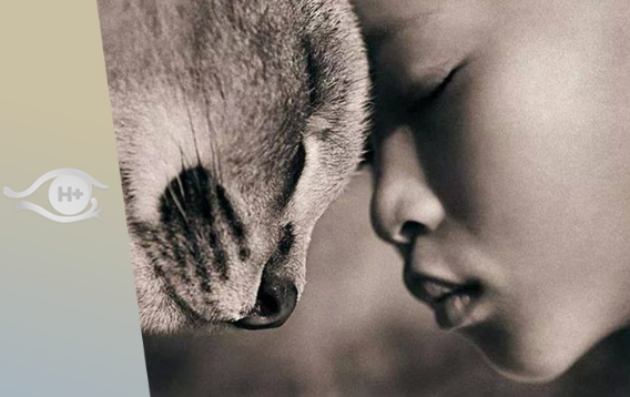 David Pearce : technobouddhisme – transveganisme