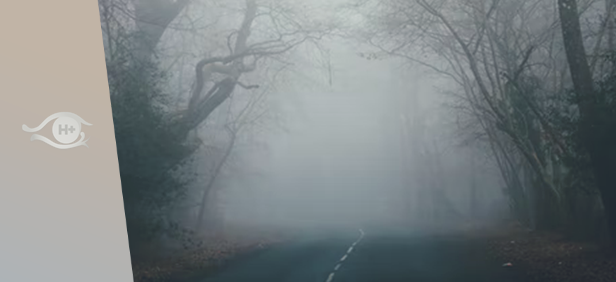 Dans le brouillard de la Singularité