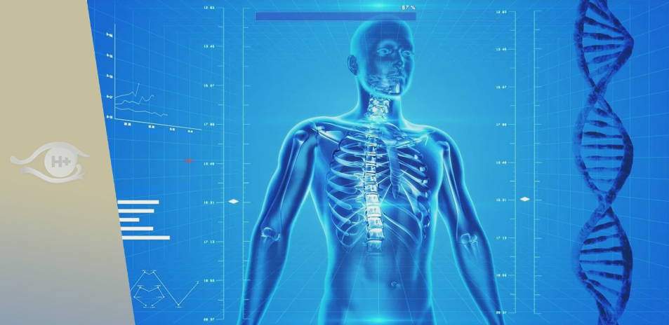 Lettre mensuelle de Heales. La mort de la mort. N°161. Août 2022. Les effets du vieillissement sur le système osseux.