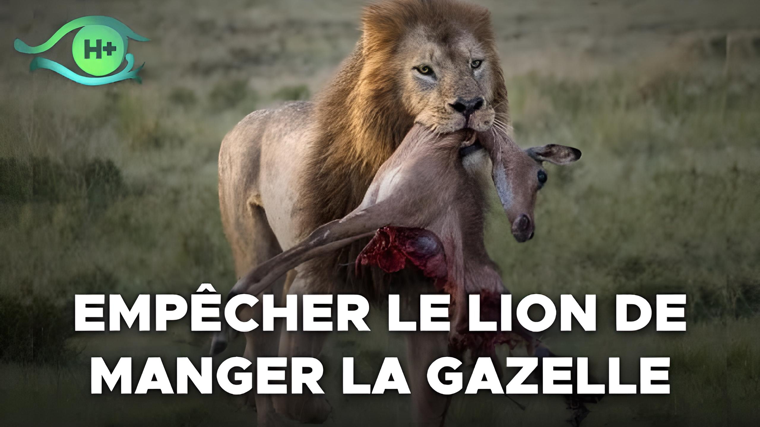 TransVision 2022 : Table ronde sur la vie sauvage (en français)