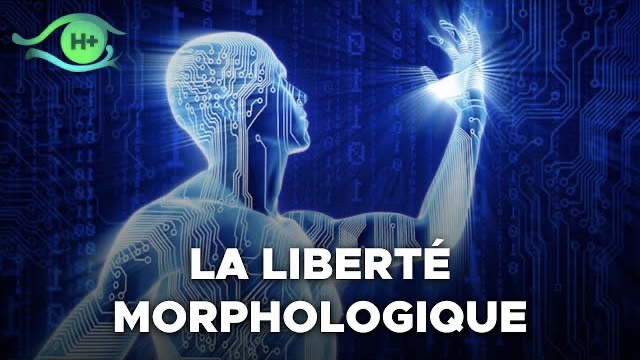 TransVision 2022 : Table ronde sur la liberté morphologique