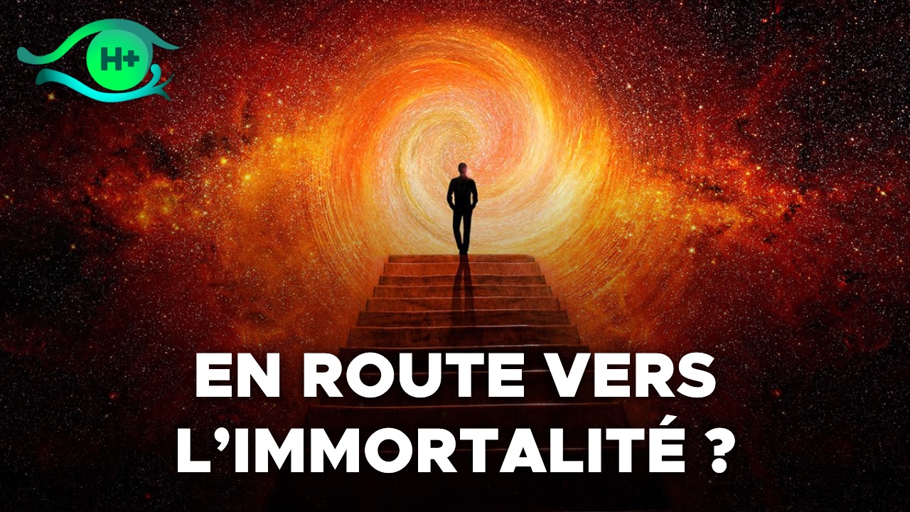 TransVision 2022 : Table ronde sur la longévité