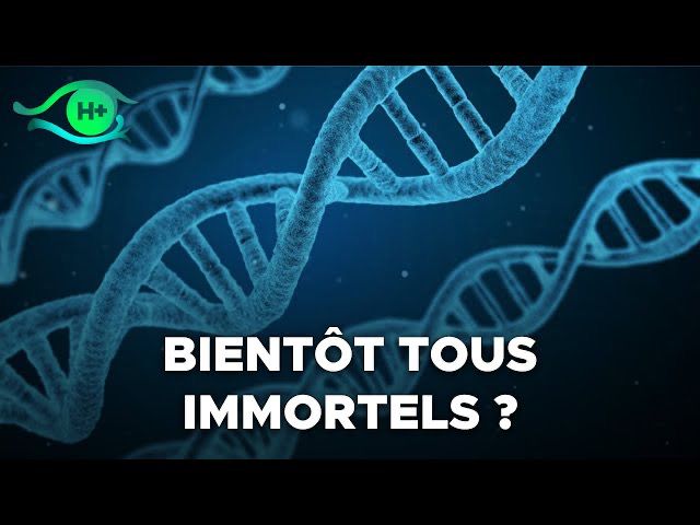 TransVision 2022 : Table ronde sur la longévité